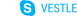 Skype chat
